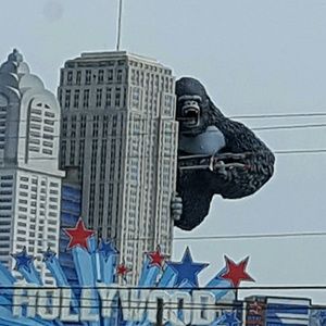 Meet your Posher, Rita